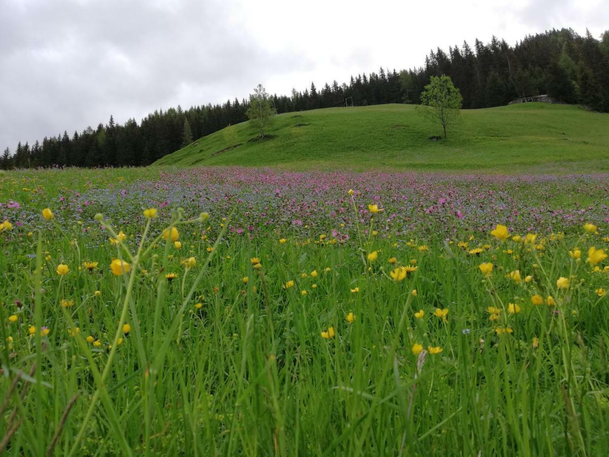 Goserhof Innervillgraten Luaran gambar